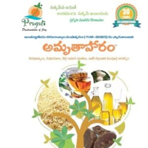 Amrutha Ahaaram Book 2nd Edition Telugu