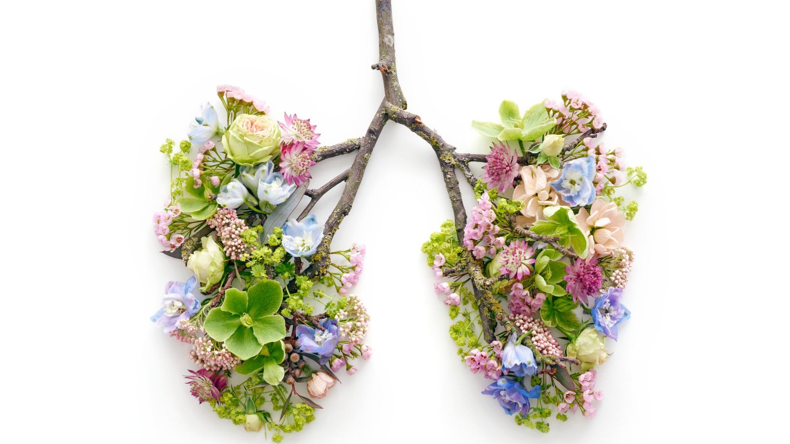 Read more about the article Ayurveda for Your Lungs: A Holistic Approach to Respiratory Health