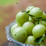 Amla: The Little Fruit with big health benefits you need to try