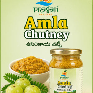 Pragati Natural Amla Chutney 400g
